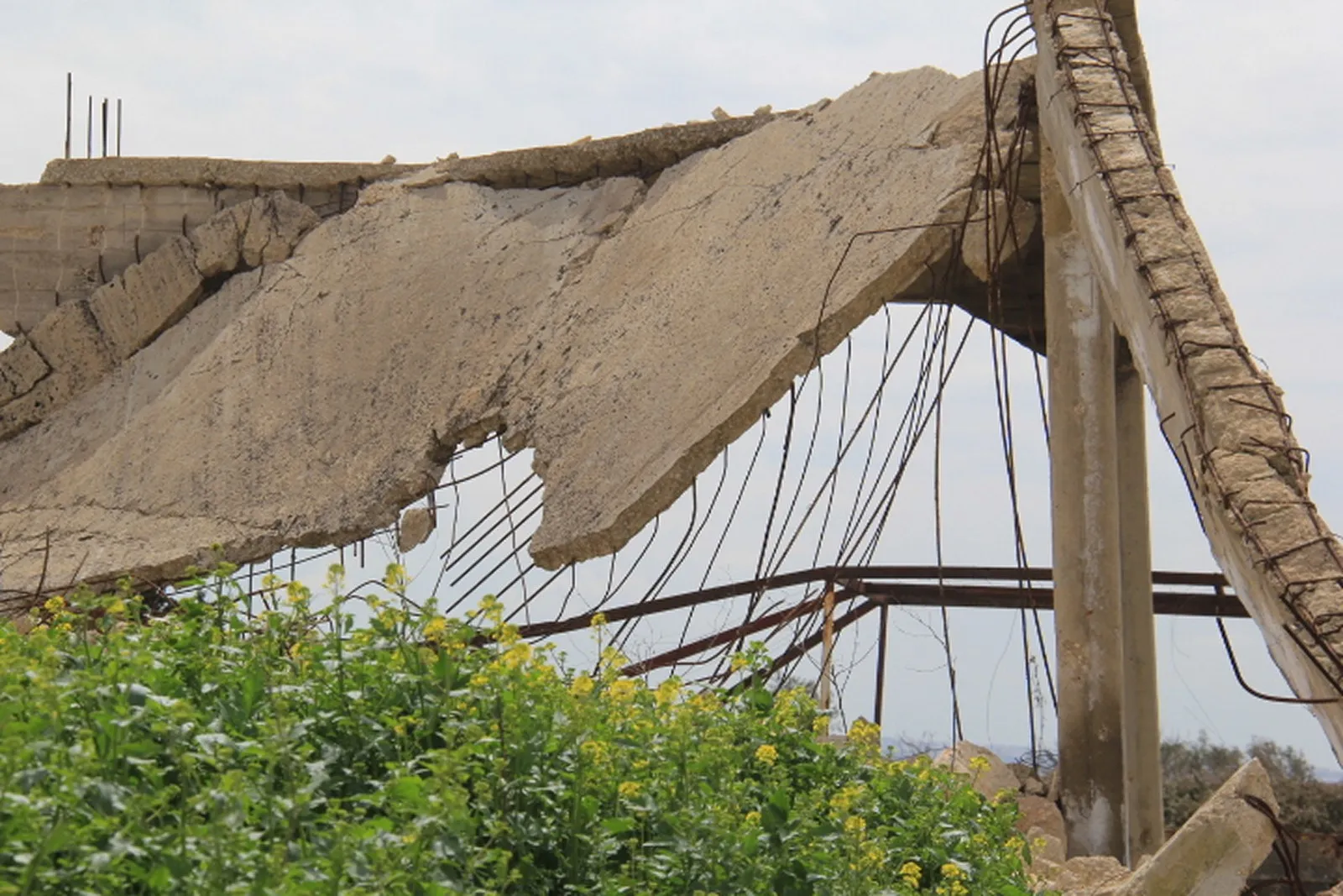 AL-Shahhab people narrated their suffering during IS domination 