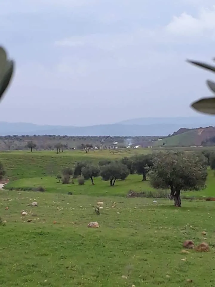 Photos, video document Turkish occupation's looting Afrin properties
