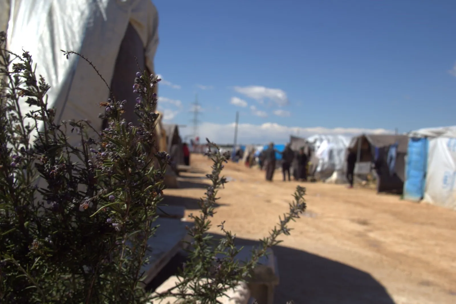 They chose al-Shahba to complete resistance as it reminds them of their area  