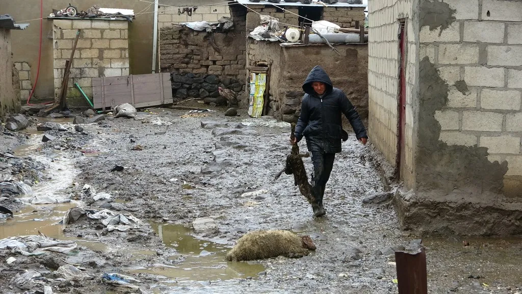 Damage to property of villagers of border villages as a result of removal of concrete wall
