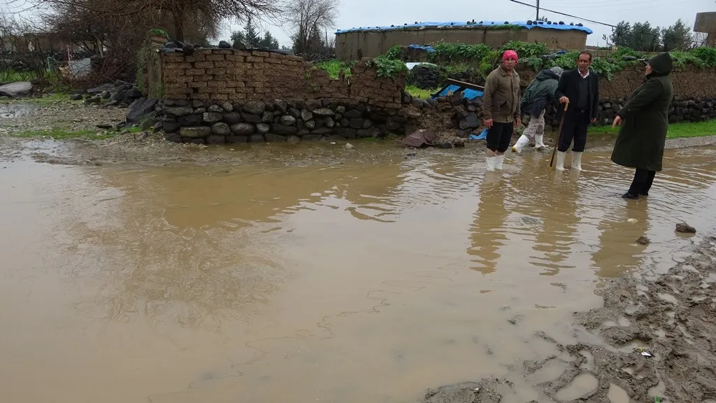 Damage to property of villagers of border villages as a result of removal of concrete wall