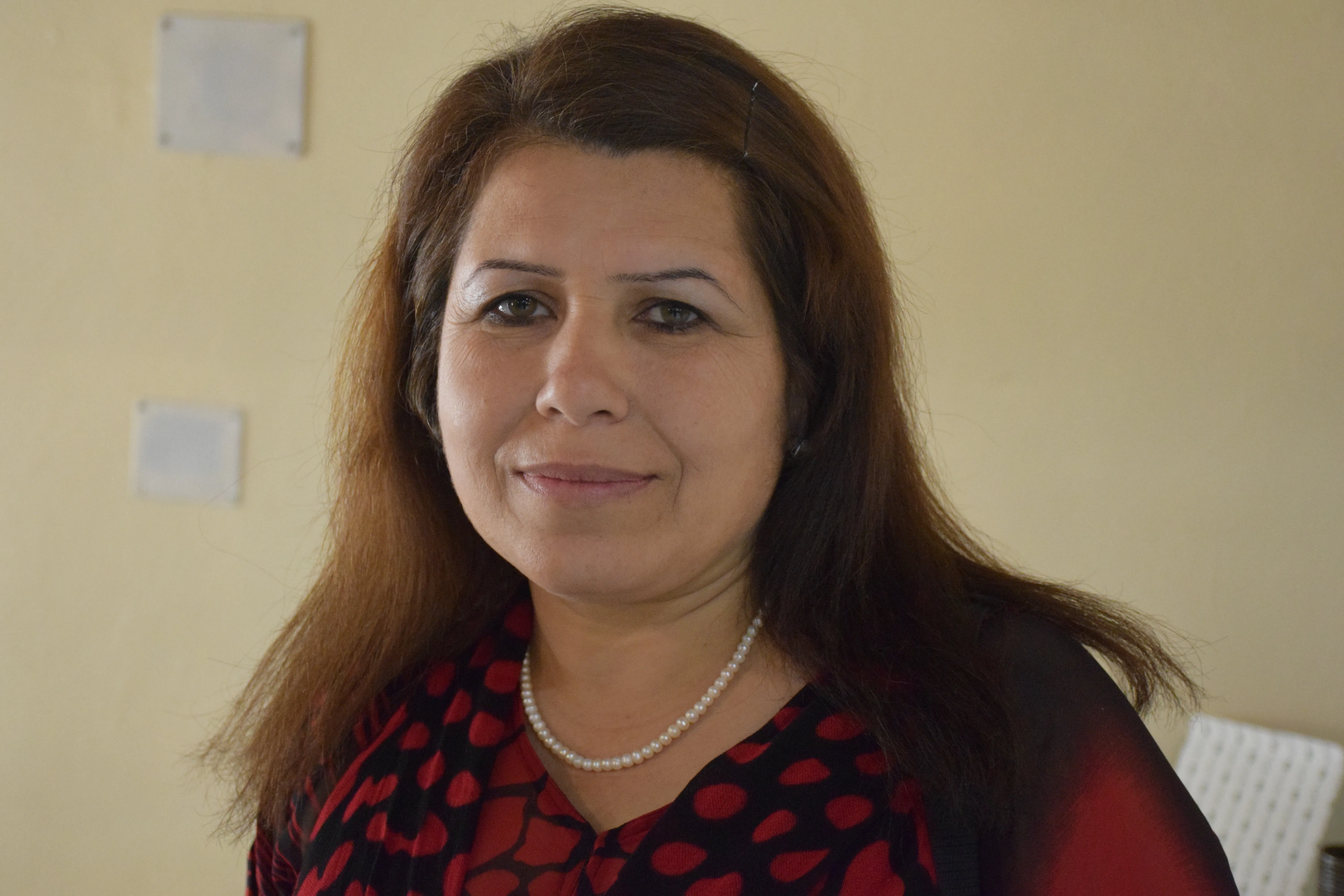 Narin Matini criticized some Kurdish parties' absence in KNK meeting