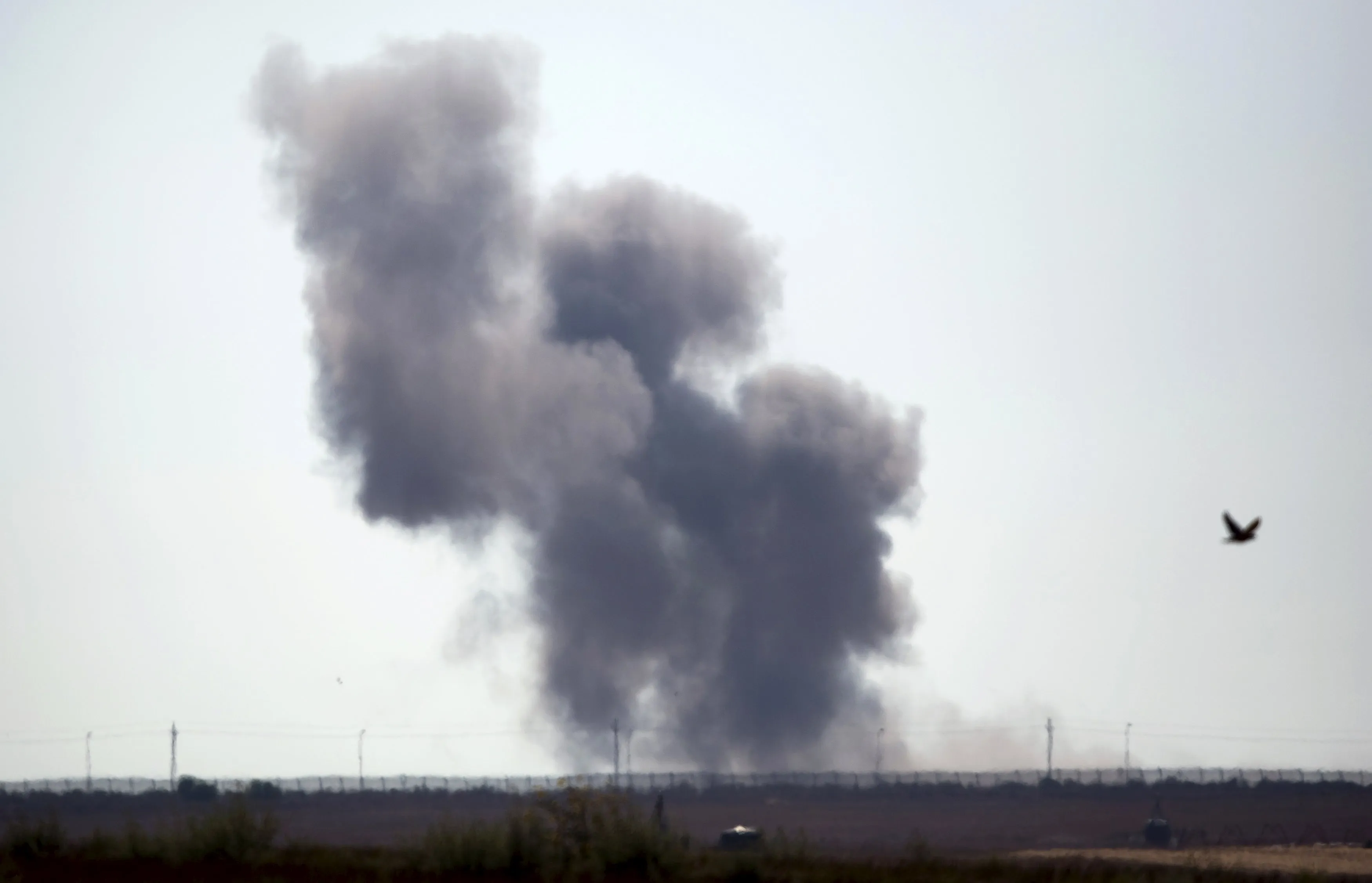 A group linked to Daesh claimed responsibility for suicide attack in Sinai