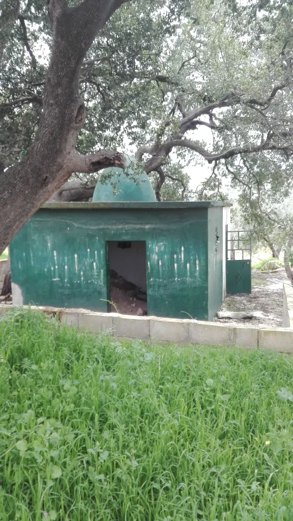 Music institutes closed, kidnapping, destruction of shrines continue in Afrin