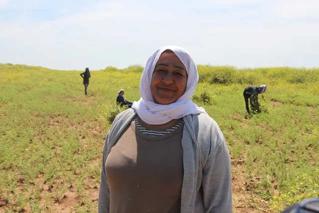 20 women participated in agricultural project