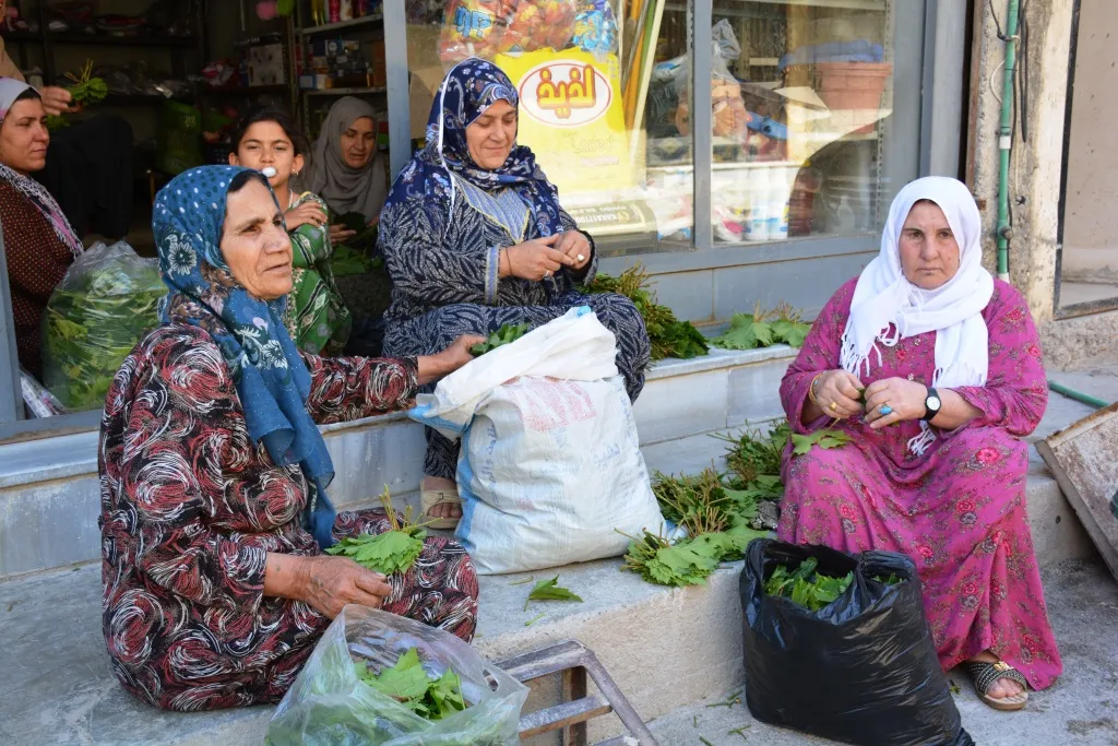 Kobani's women collecting grape leaves