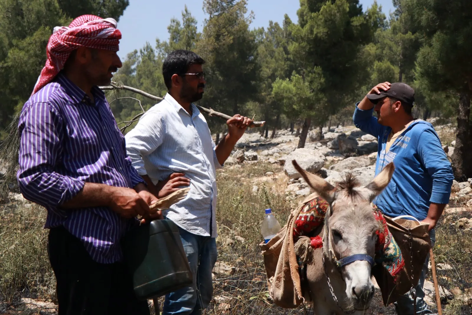 Extermination of nature …. New model of Turkish occupation's crimes in Afrin