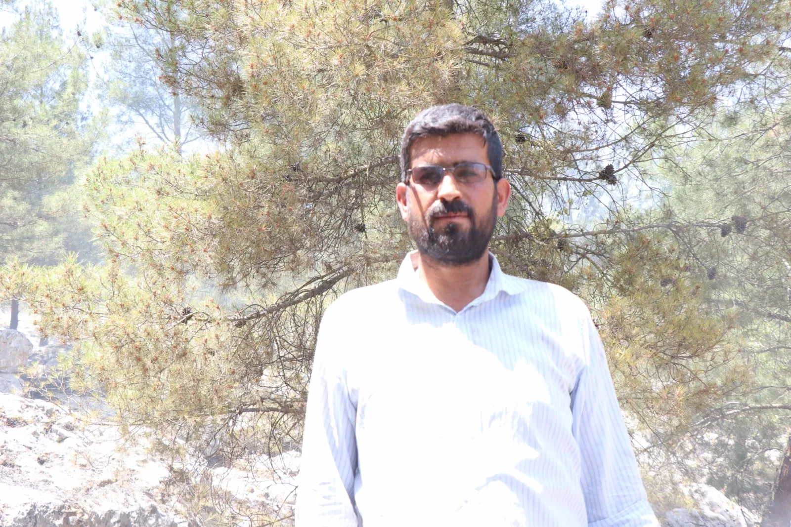 Extermination of nature …. New model of Turkish occupation's crimes in Afrin
