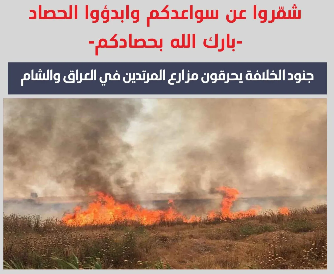 Civil Administration issues statement on agricultural crop fires in al-Tabqa