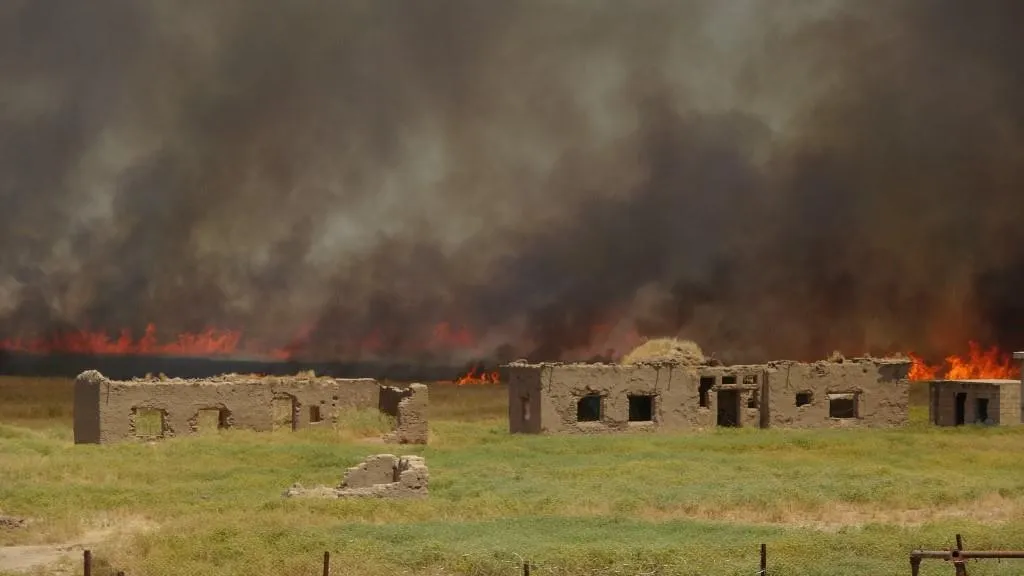 Fire is deliberate, daily at the same time