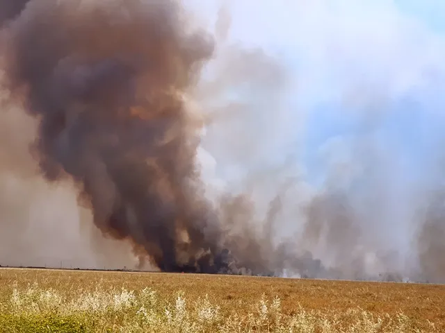 The farmers' crops are again on fire in Tirbe Spiyê, Tel Hamis