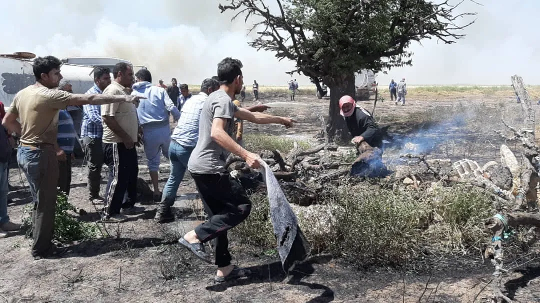 Simultaneously... Flames devour several agricultural fields in Kobani