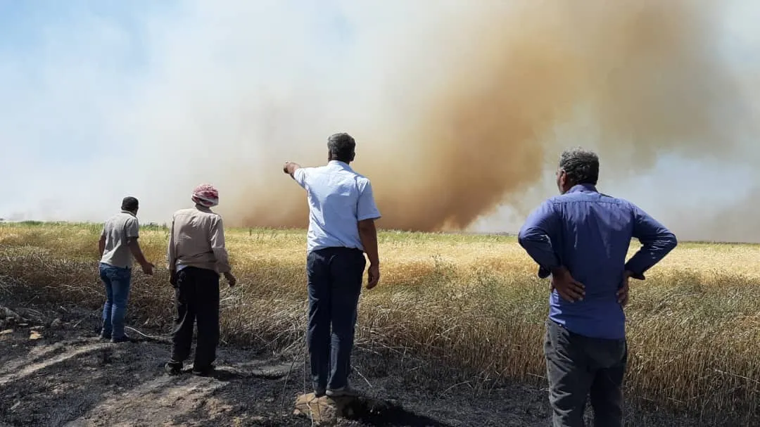 Simultaneously... Flames devour several agricultural fields in Kobani