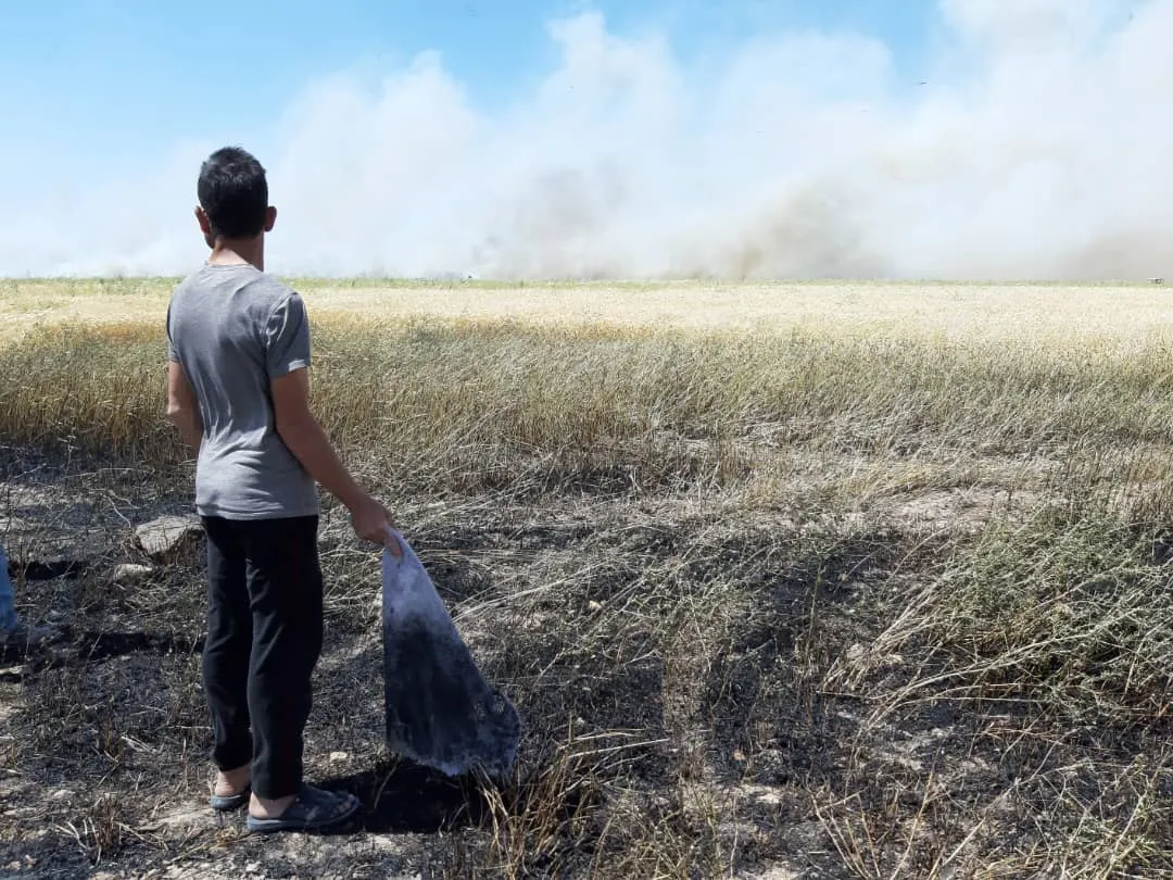 Simultaneously... Flames devour several agricultural fields in Kobani