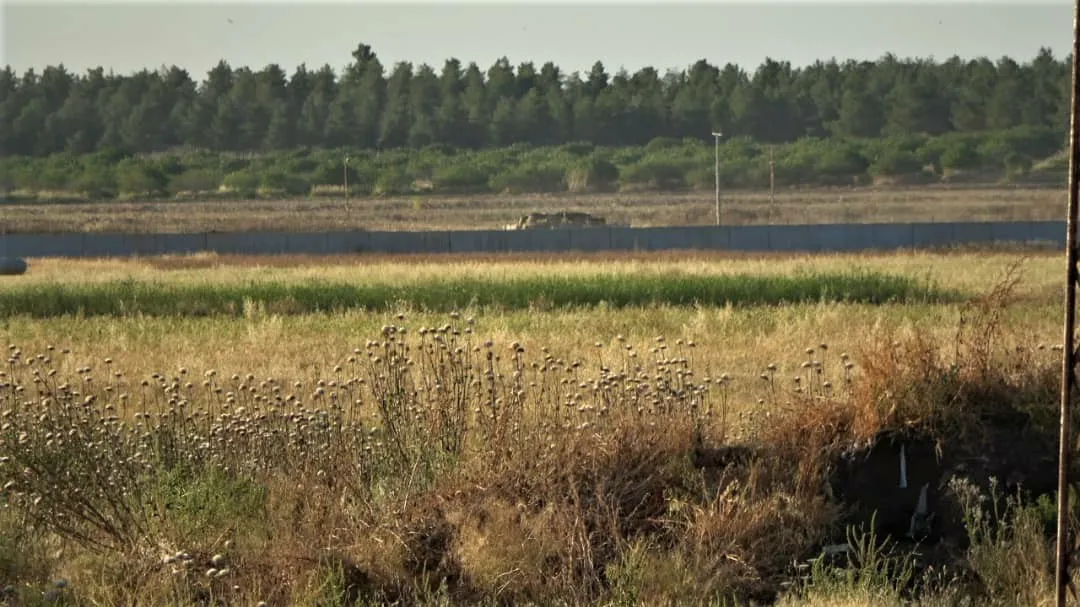 Turkish occupation army burns 250 dunums in Serê Kaniyê
