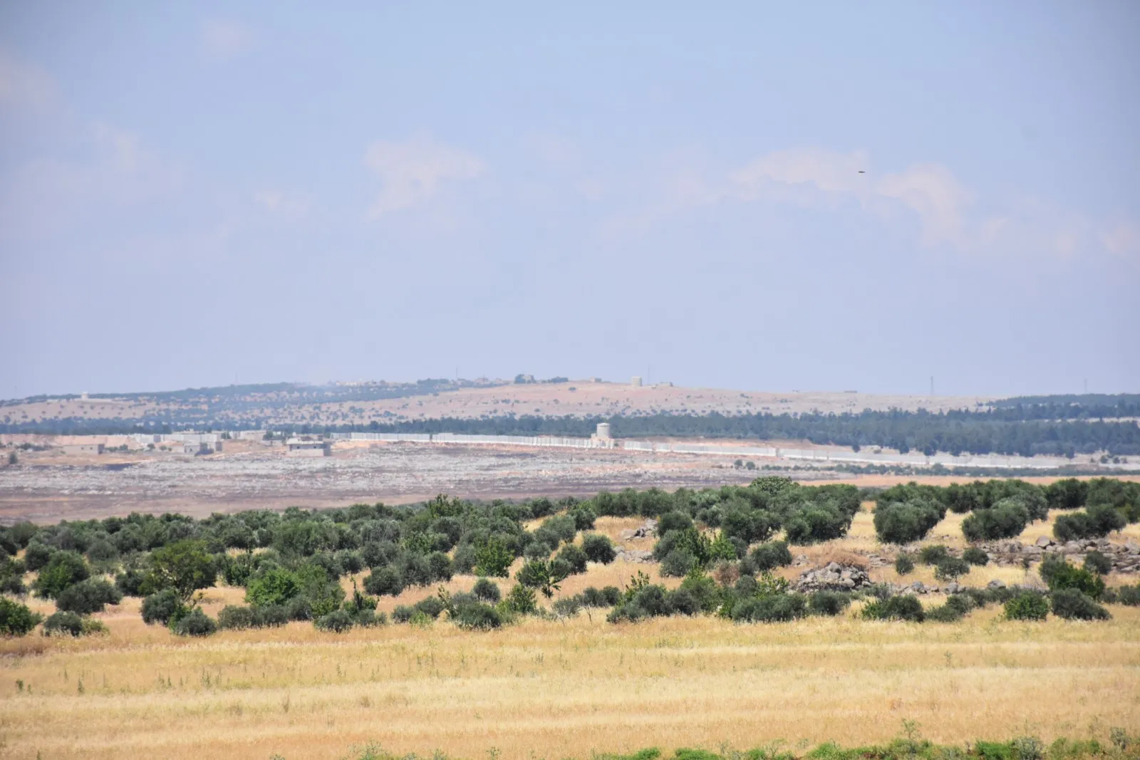 Citizens rejected Turkey's partition wall stressing to confront occupation