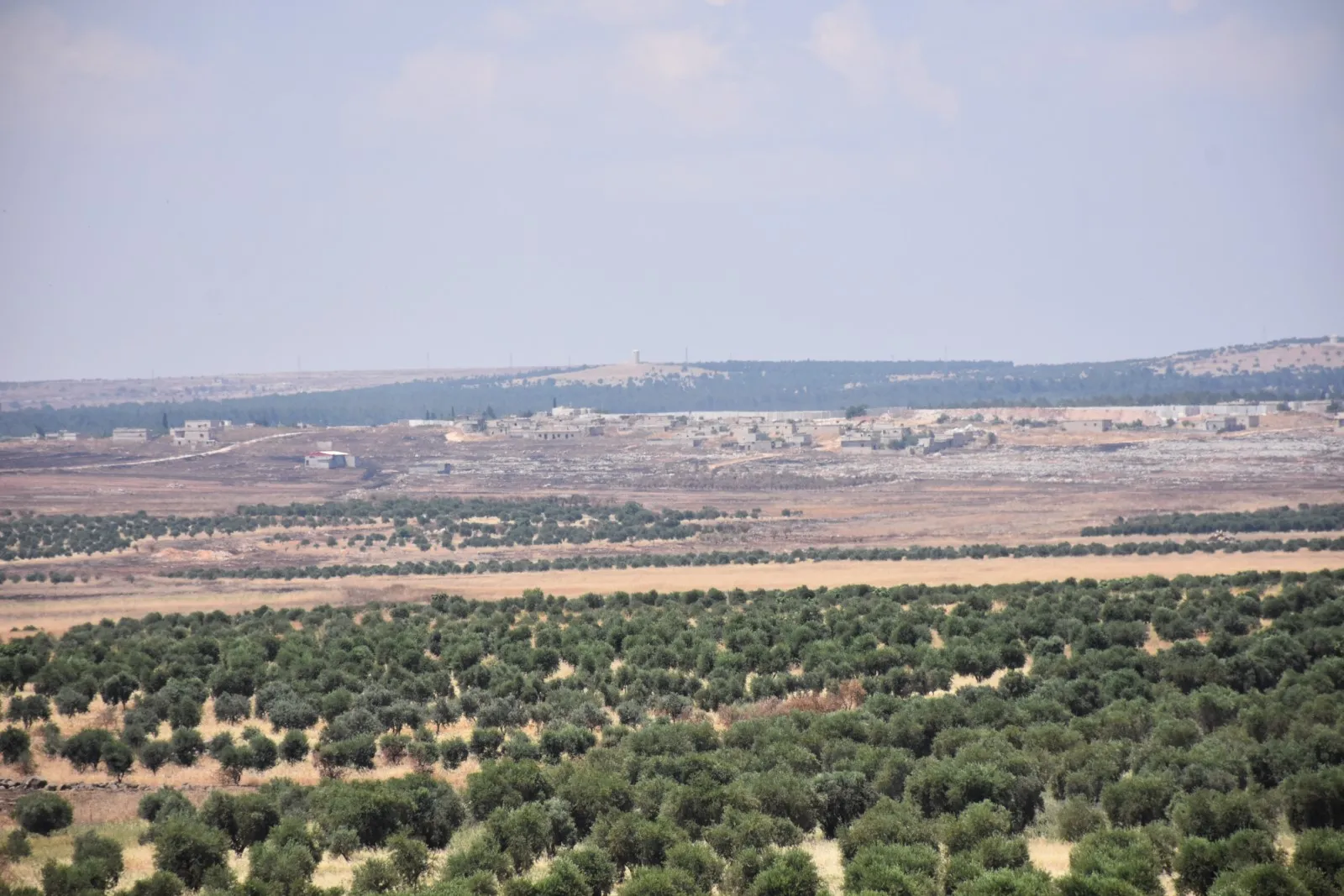 Citizens rejected Turkey's partition wall stressing to confront occupation