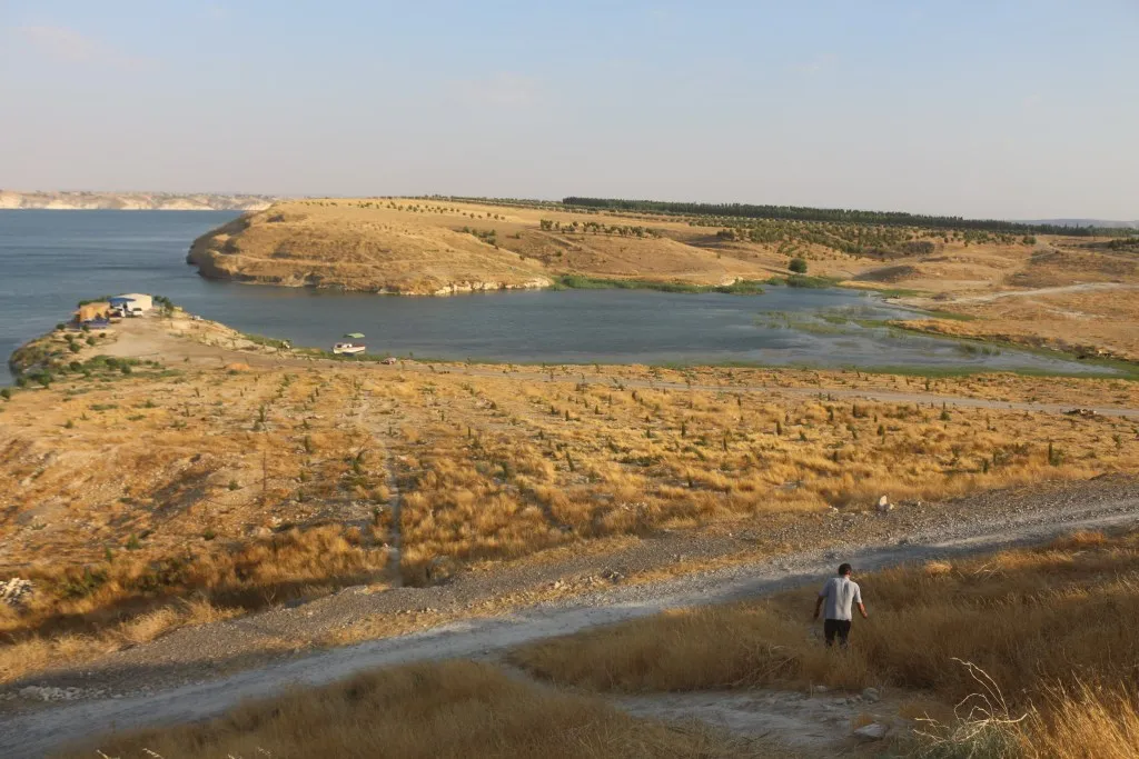 Forestation project in vicinity of Qal'at Najm