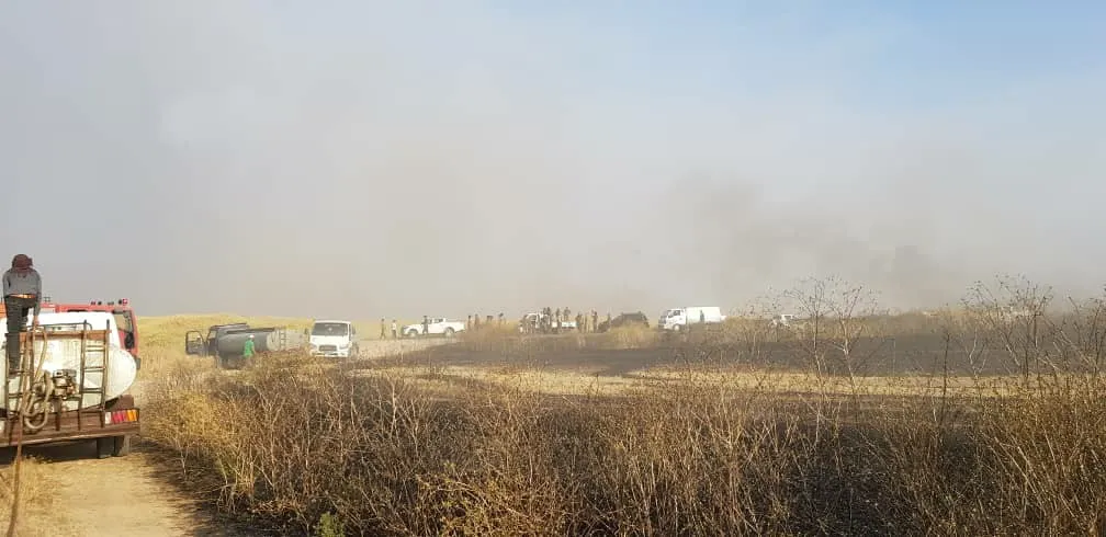 Another 30,000 dunums burned yesterday
