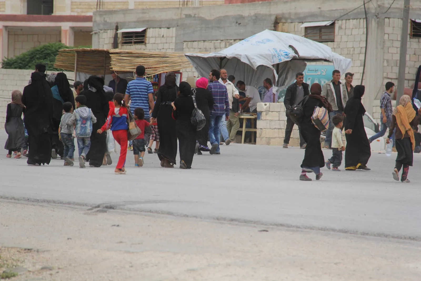 Settling 64,000 people of mercenaries' families in Afrin