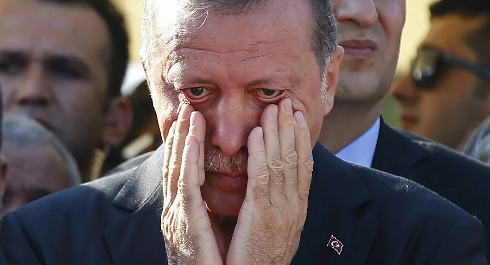 Egyptian Foreign Ministry: Erdogan 's Statements are hard proof of his link with Brotherhood