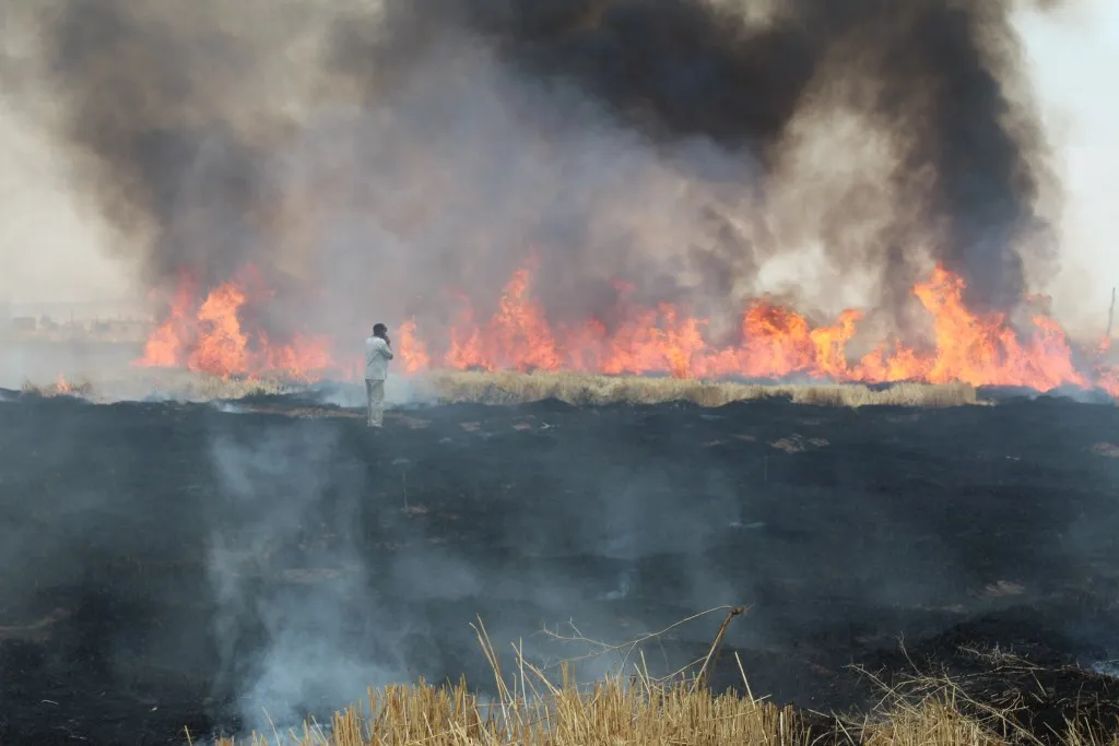 DAA: 19 billion S.L. are fires losses in northern Syria