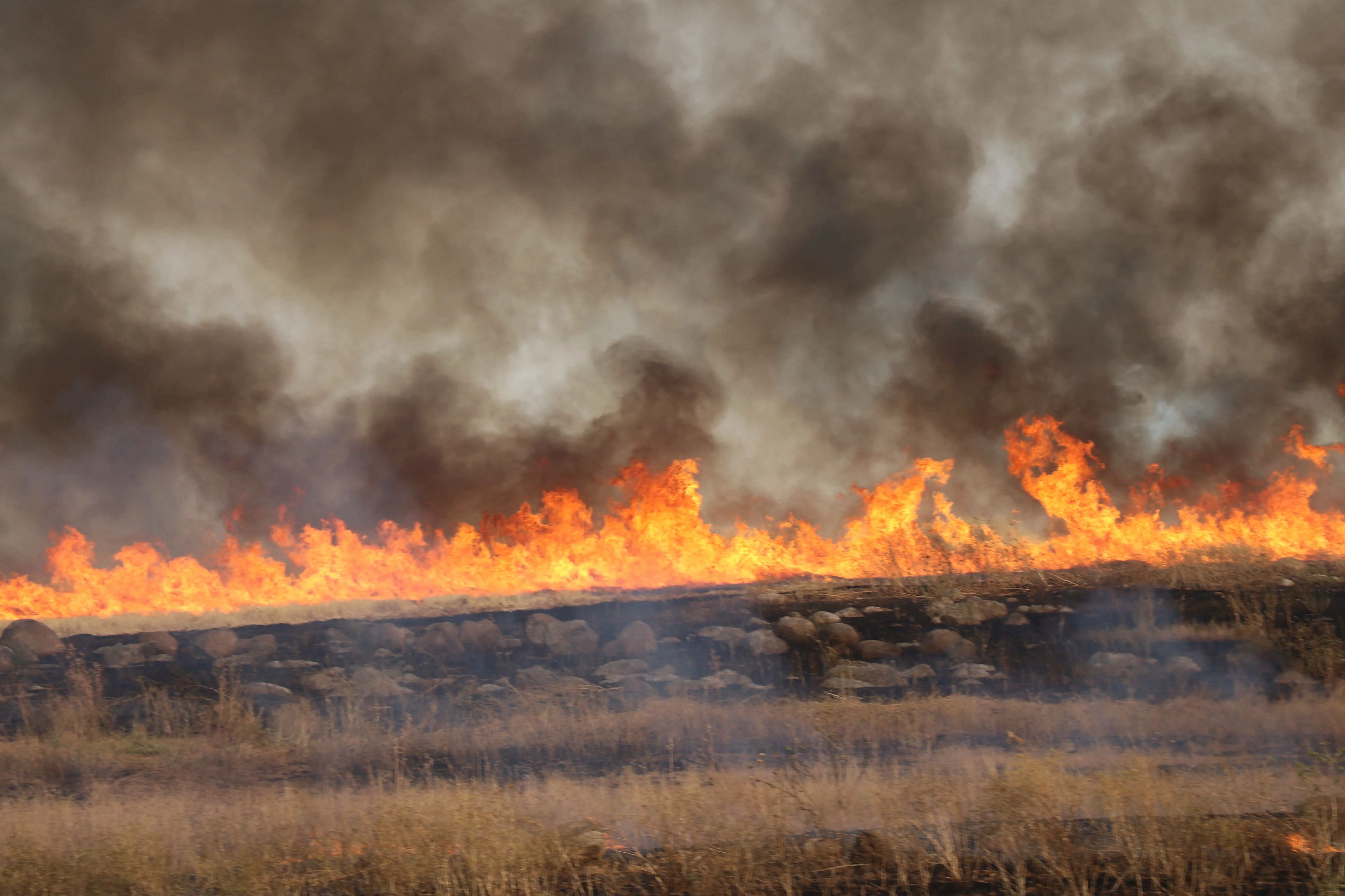 15360 dunums fire consumed in the area of ​​Tel Koçer