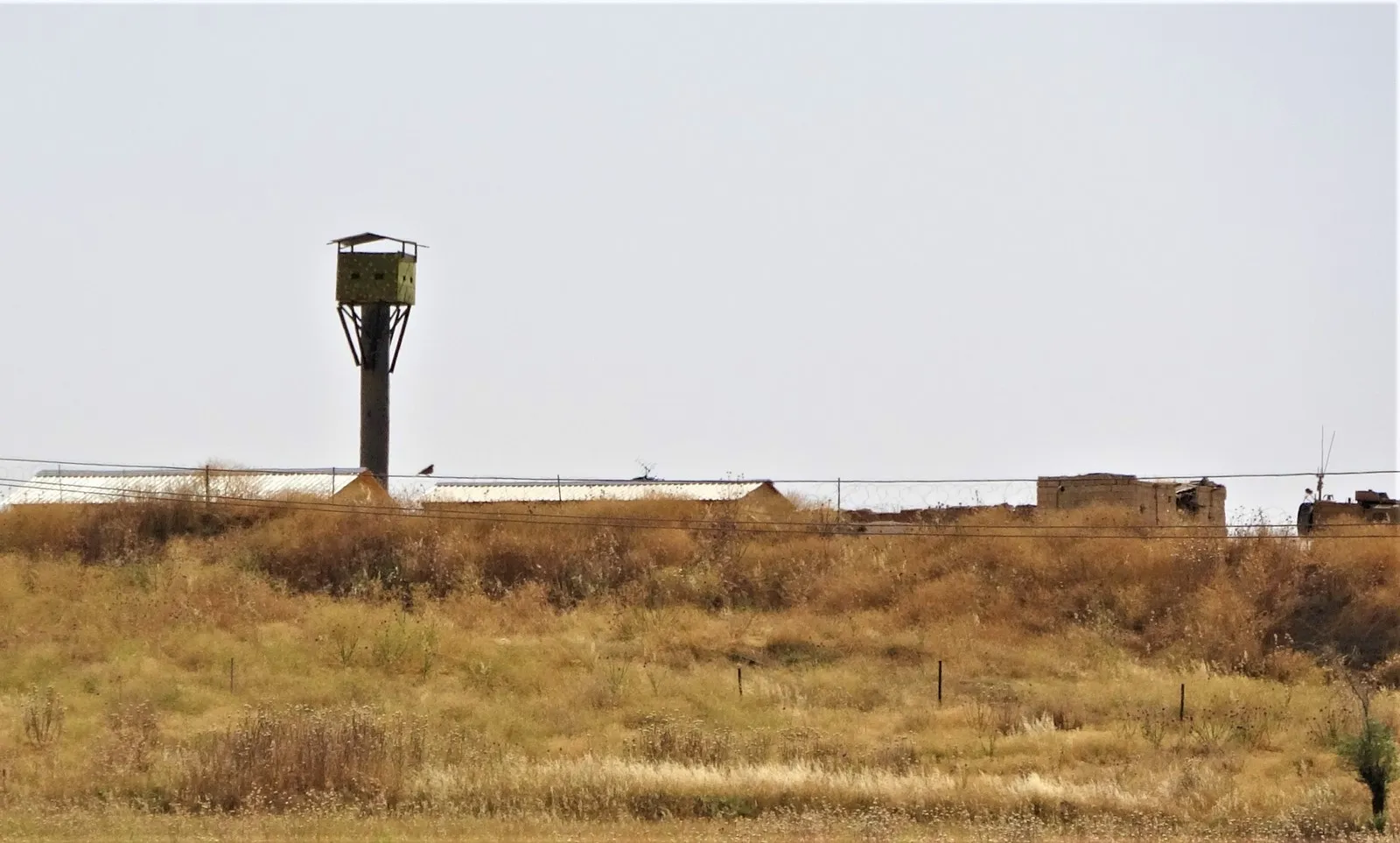 Turkish soldiers burn wheat crop in Tal Halaf villages
