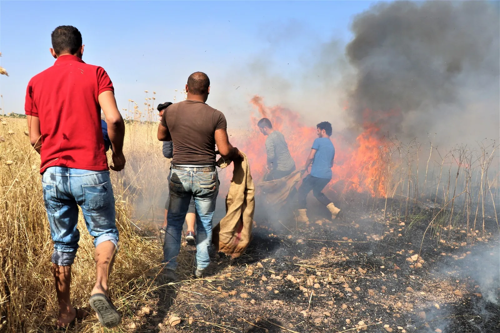 Turkish soldiers burn wheat crop in Tal Halaf villages