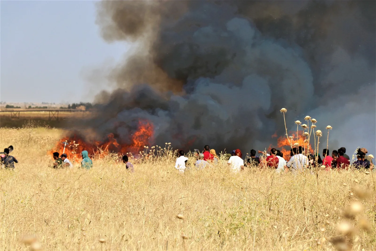 Turkish soldiers burn wheat crop in Tal Halaf villages