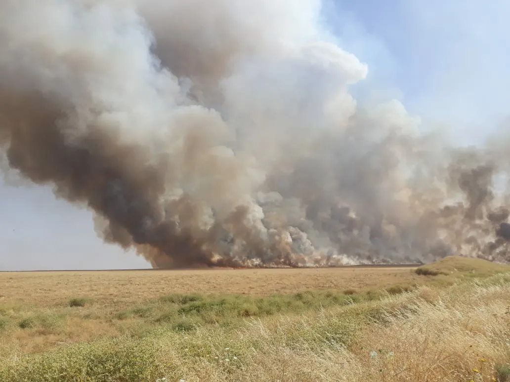 Fire destroys large areas of crops of al-Hasakah farmers