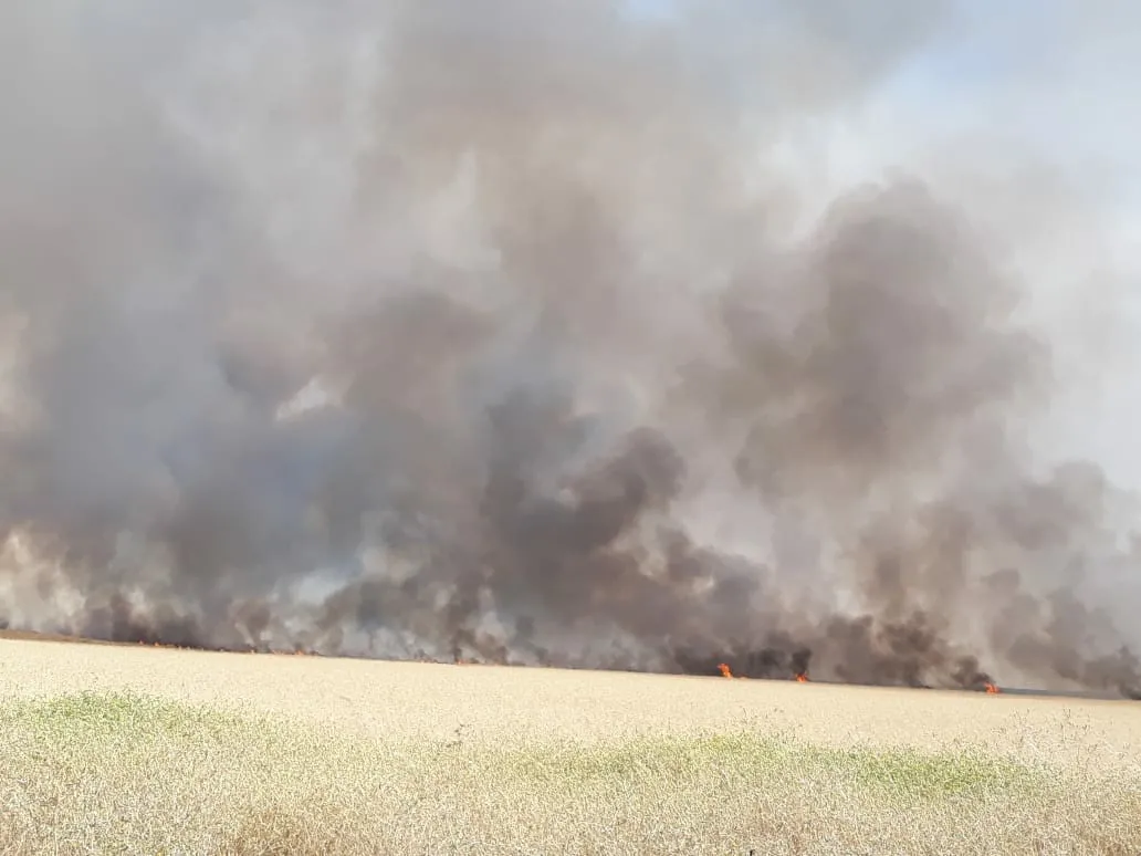 Fire destroys large areas of crops of al-Hasakah farmers