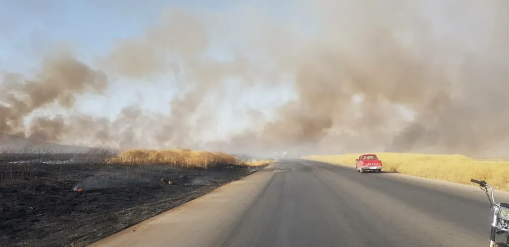 Fires consume 5 thousand dunums, firefighters attempt to extinguish