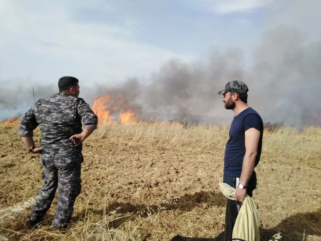 Thousands of dunums burnt in Tel Tamir, security forces arrest the perpetrator