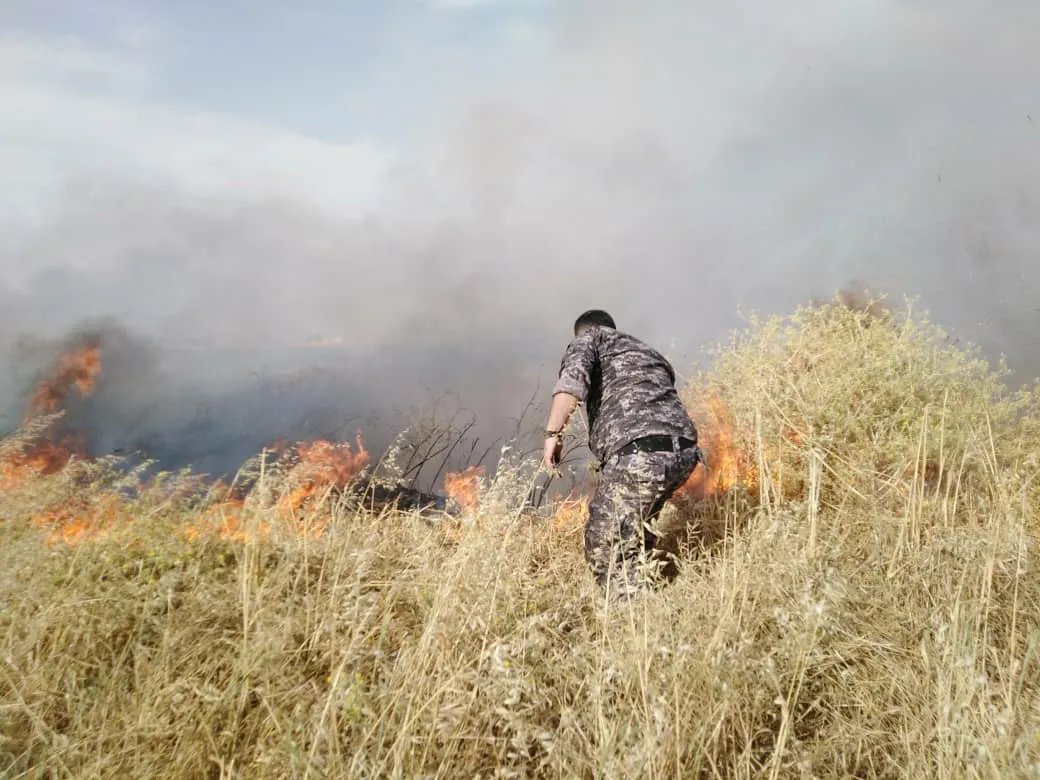 Thousands of dunums burnt in Tel Tamir, security forces arrest the perpetrator