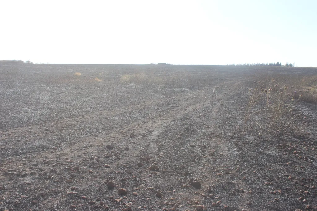 Fire extinguished after consuming 26 villages' fields in Tal Hamis, ad-Darbasiya