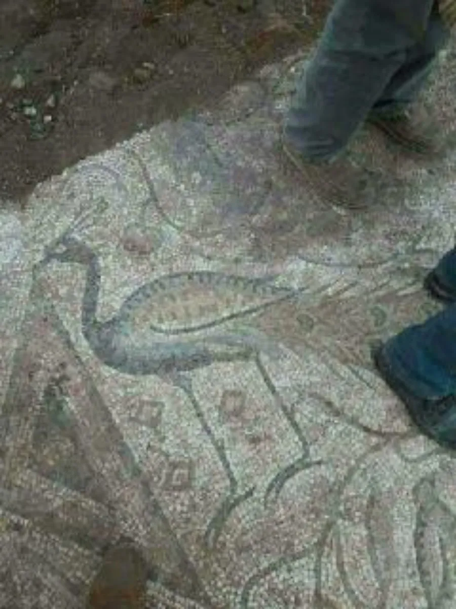 Did there remain monuments in Afrin that were not stolen by Turkey?