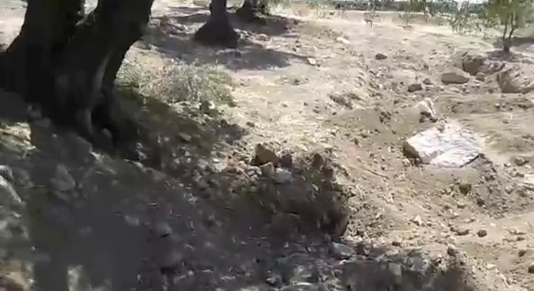 Turkish occupation continues to establish military bases in occupied Afrin