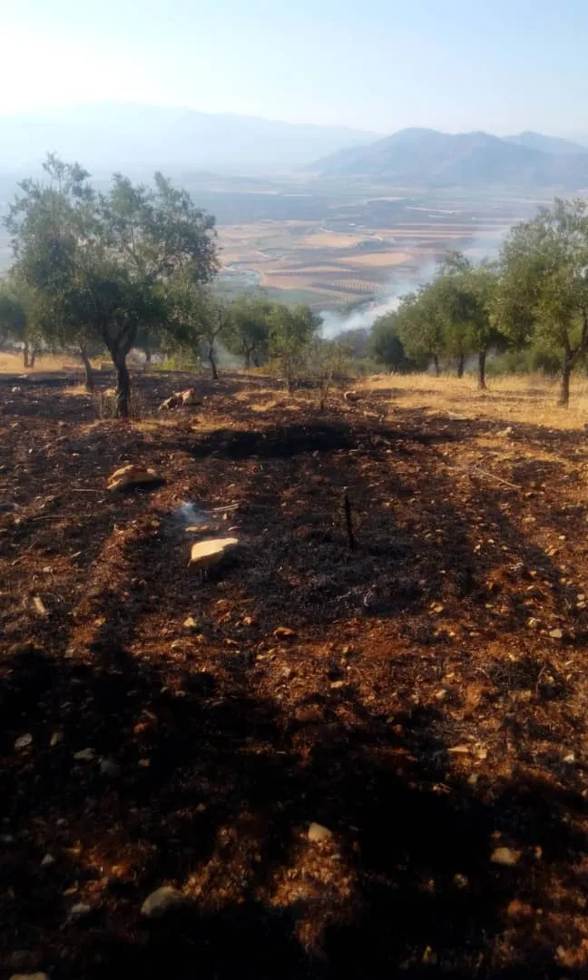 Turkey returns 100 people from Turkey to Afrin to change its demographics