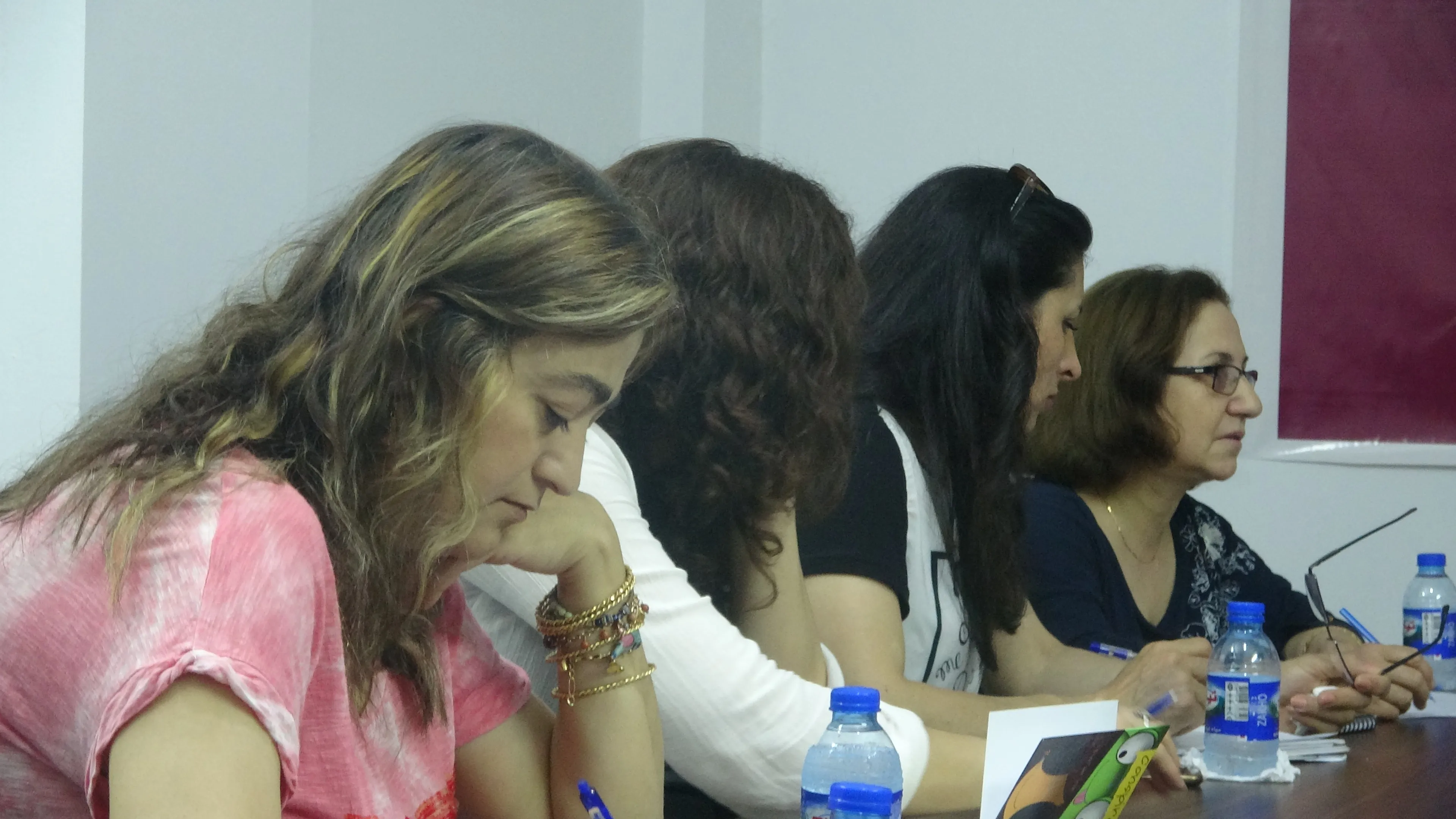 Women's Council Coordination approves formation of constitutional , legal committee