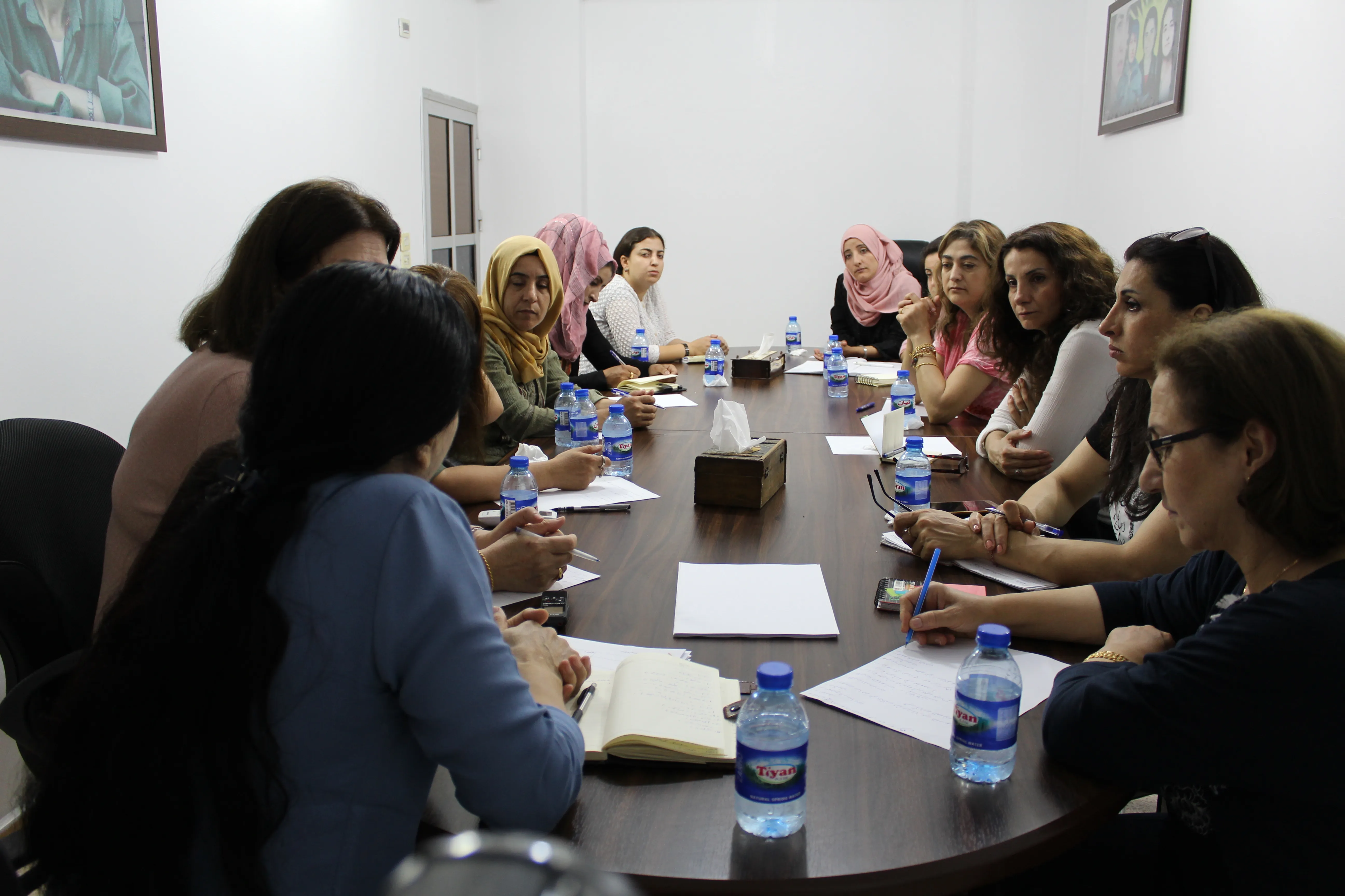 Women's Council Coordination approves formation of constitutional , legal committee