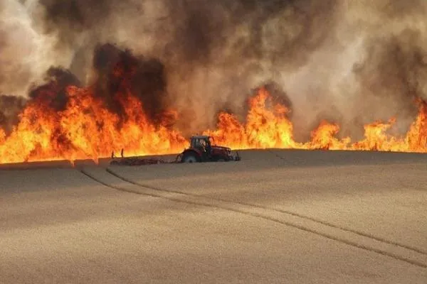 Fire disaster engulfs France due to heatwaves