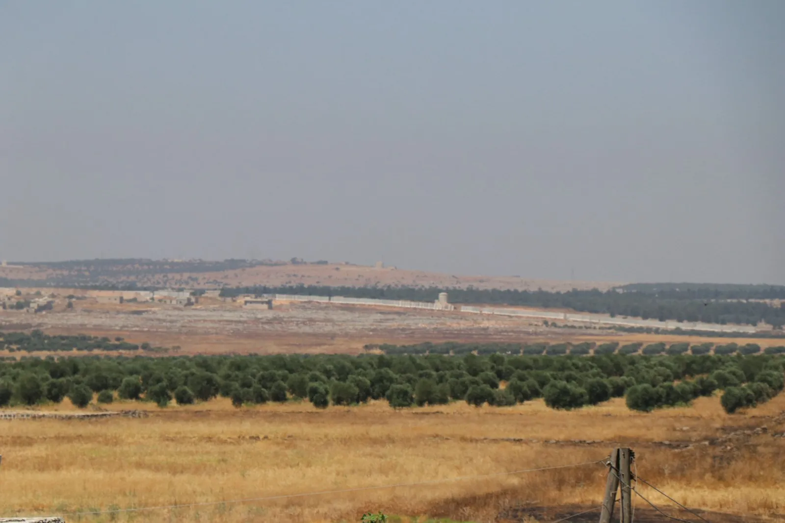 Regional, international silence guarantees annexing Afrin to Turkey