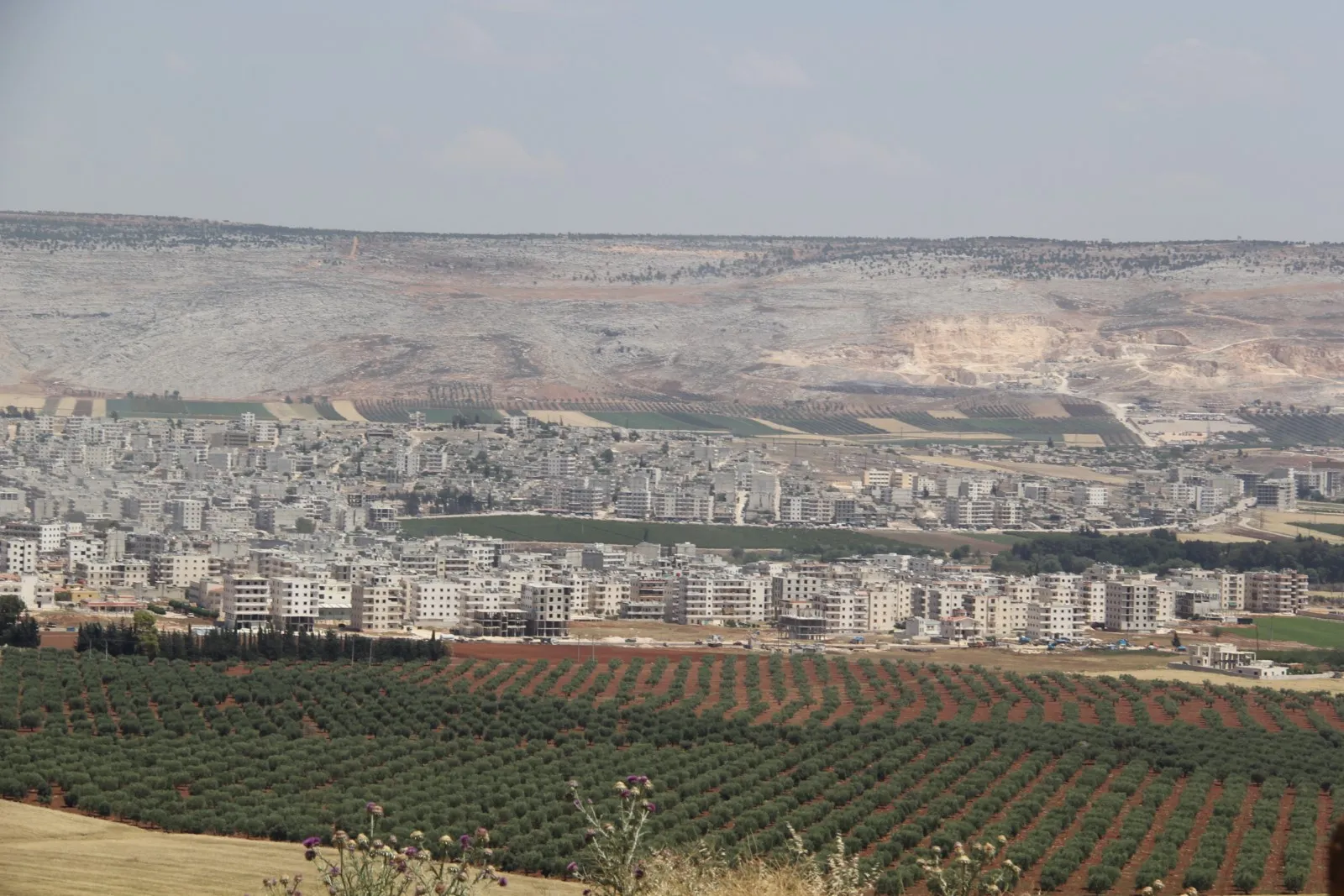 Turkish occupation kidnapped 4 citizens from Afrin
