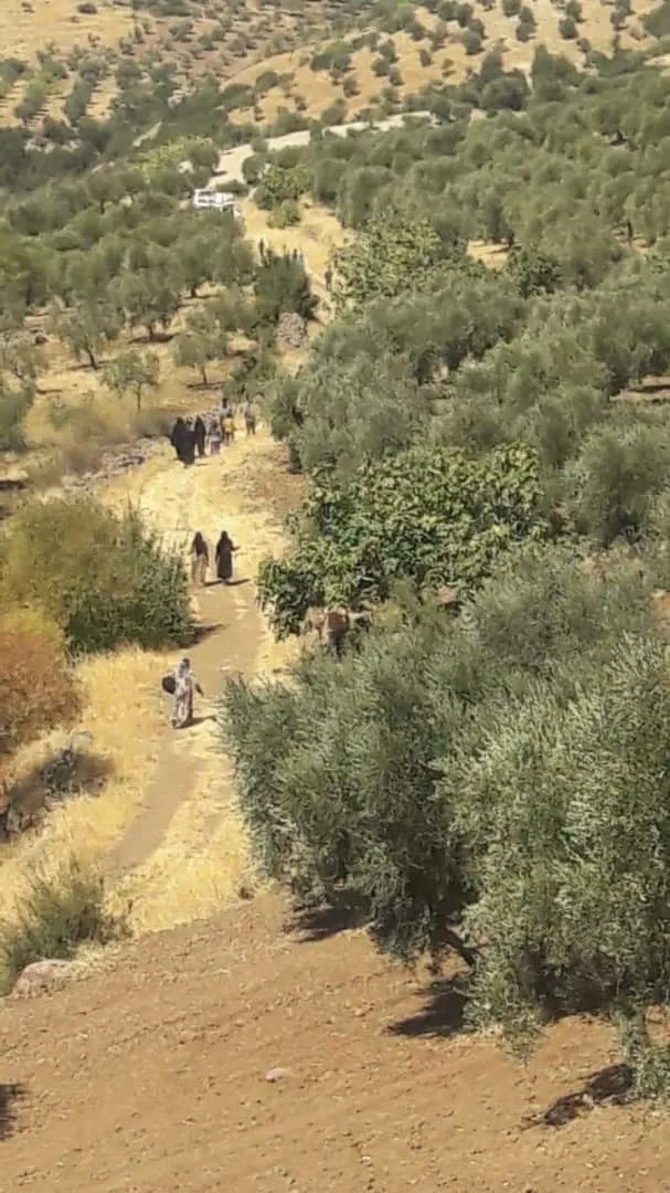 33 civilians from Afrin kidnapped; mercenaries clash