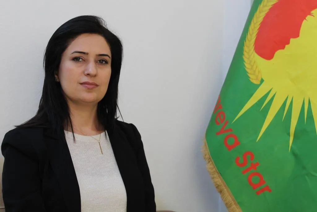 Avein Sewied: Attacks on NE, Syria escalated violence against women