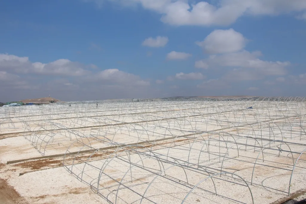 AA’s Executive Council reviews work of new camp for IDPs in Idlib