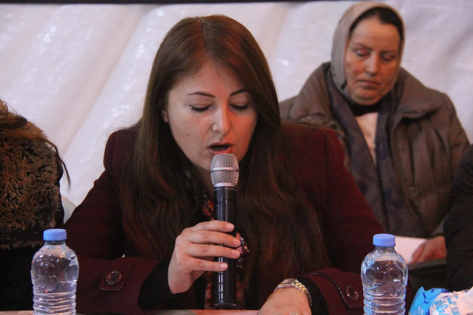Dialogue forum in al-Shahba about woman’s role in life fields