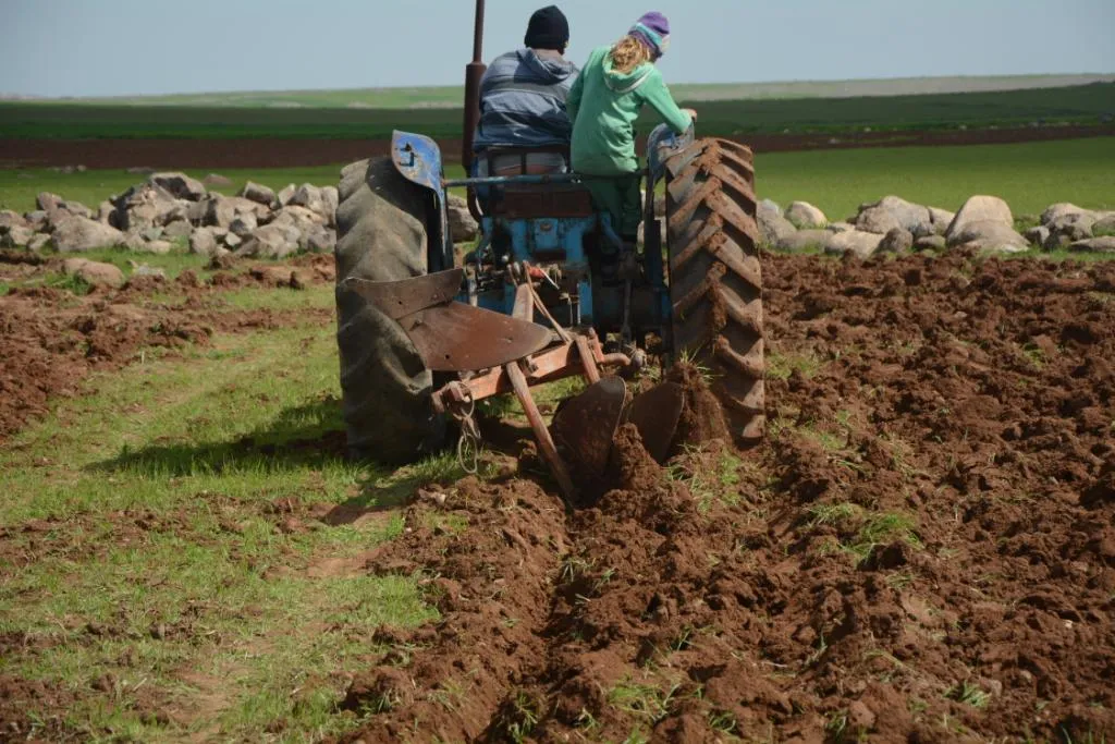 For 2nd time within months… worms harm farmers’ crops