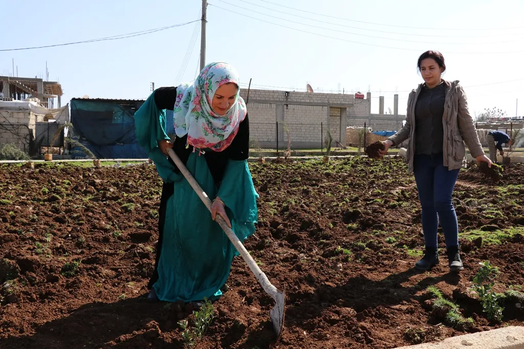 On International Women's Day, 100 trees planted in Dêrik